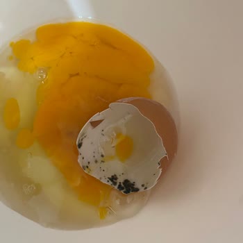 Gezen Tavuk Yumurtasında Küf Ve Hijyen Sorunu Yaşadım