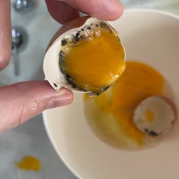 Gezen Tavuk Yumurtasında Küf Ve Hijyen Sorunu Yaşadım