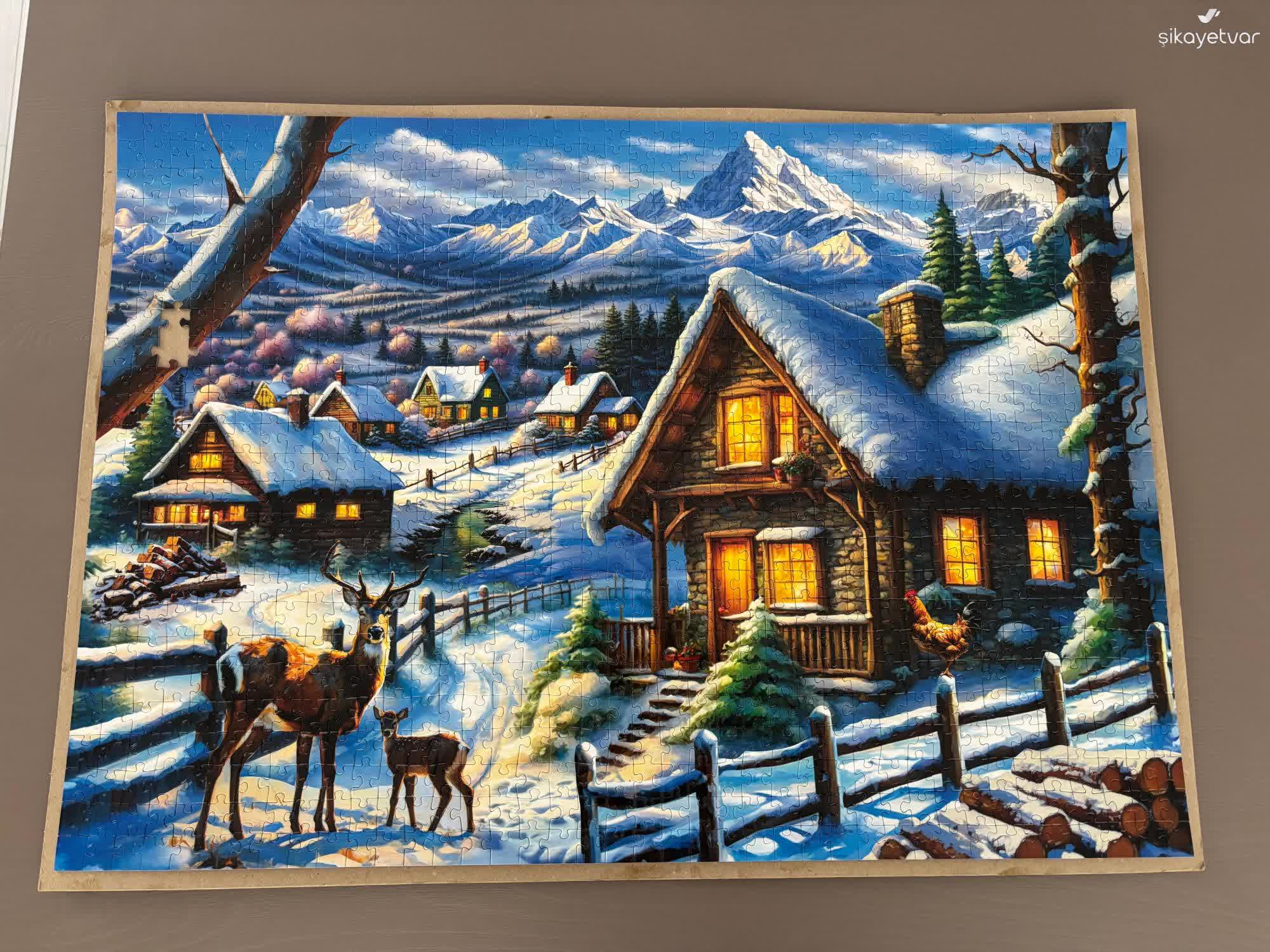 zoe-puzzle-eksik-parca-