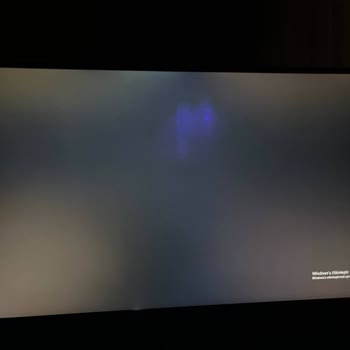 Vatan Bilgisayar Yeni Alınan Monitörde Ölü Piksel Sorunu