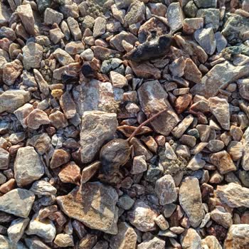 Lezzet Zeytin Tenekesinde Yaşanan Hijyen Sıkıntısı
