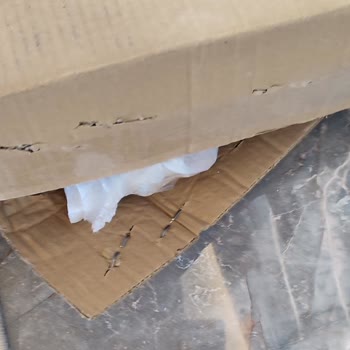 Sürekli Hasarlı Kargo Teslimatı Ve Dikkatsiz Taşıma Sorunu