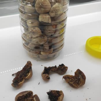 Egeden Kadın Dayanışması Tarafından Mağdur Ediliyorum!