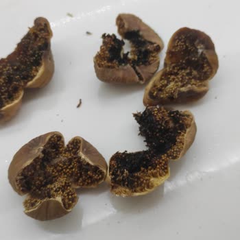 Egeden Kadın Dayanışması Tarafından Mağdur Ediliyorum!