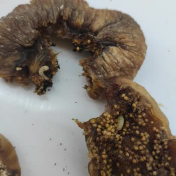 Egeden Kadın Dayanışması Tarafından Mağdur Ediliyorum!