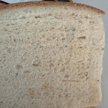 Son Kullanma Tarihi Geçmemiş Ekmek Küflü Çıktı, Çocuklarım Tüketti