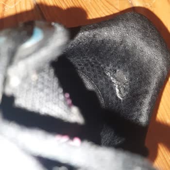 Kısa Sürede Deforme Olan Ayakkabı İçin Değişim Talebim Reddedildi: Mağduriyetimin Giderilmesini İstiyorum