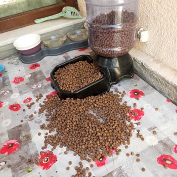 Kedilerimin Yemediği Mama İçin İade Talebim Reddedildi, Mağdur Edildim