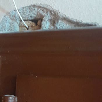 Vodafone Ev İnternet Kurulumu Sonrası Duvarım Zarar Gördü, Mağduriyetim Giderilmiyor