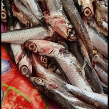 City Gross Balık Reyonunda Bayat Ürün Ve Fiyat Farkı Mağduriyeti