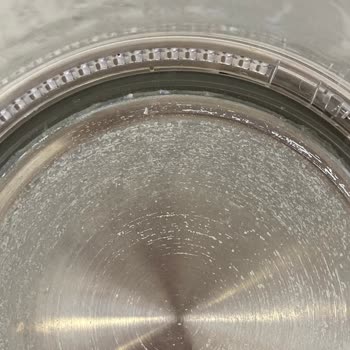 Çay Makinesinde Sağlığa Zararlı Silikon, İade Ve Ücret İadesi Talebim