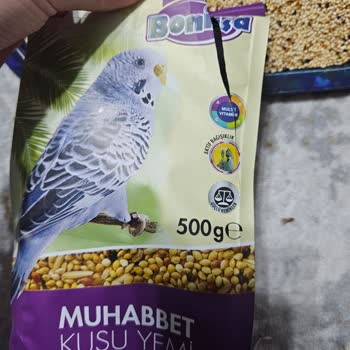 Bonisa Muhabbet Kuşu Yeminde Vaat Edilen Yulaf Neredeyse Yok