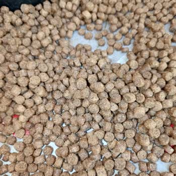 Kedilerim Goody Mamayı Yemedi, İade Ve Çözüm Taleplerim Yanıtsız Kaldı