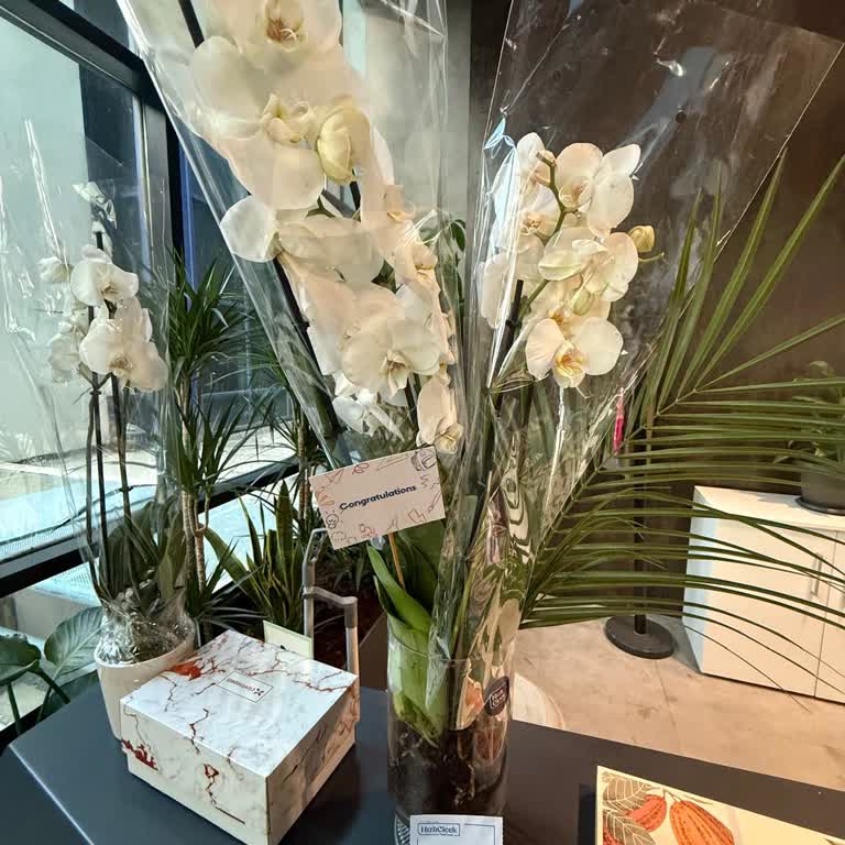 Teslimat Gecikmesi Ve Yanlış Ürün: Hızlı Çiçek’te Hayal Kırıklığı