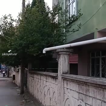 Türk Telekom İnternet Direği İzinsiz Koyuldu