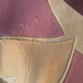 Ziya Halı Yıkama Sonrası Halımda Yırtıklar Oluştu, Firma Sorumluluk Almadı