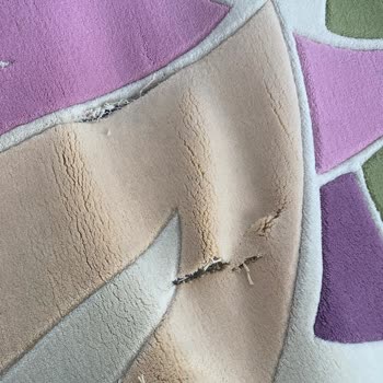 Ziya Halı Yıkama Sonrası Halımda Yırtıklar Oluştu, Firma Sorumluluk Almadı