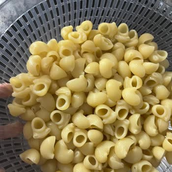 Filiz Makarna Mantı Paketinden Ölü Örümcek Çıktı