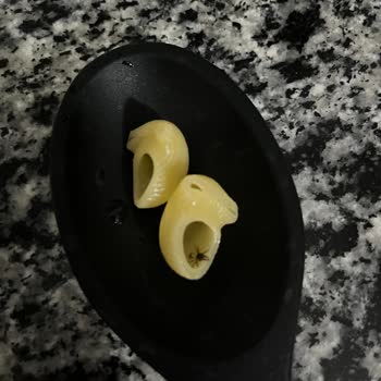 Filiz Makarna Mantı Paketinden Ölü Örümcek Çıktı