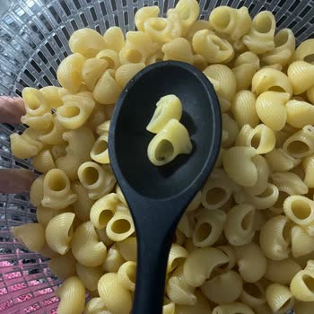 Filiz Makarna Mantı Paketinden Ölü Örümcek Çıktı