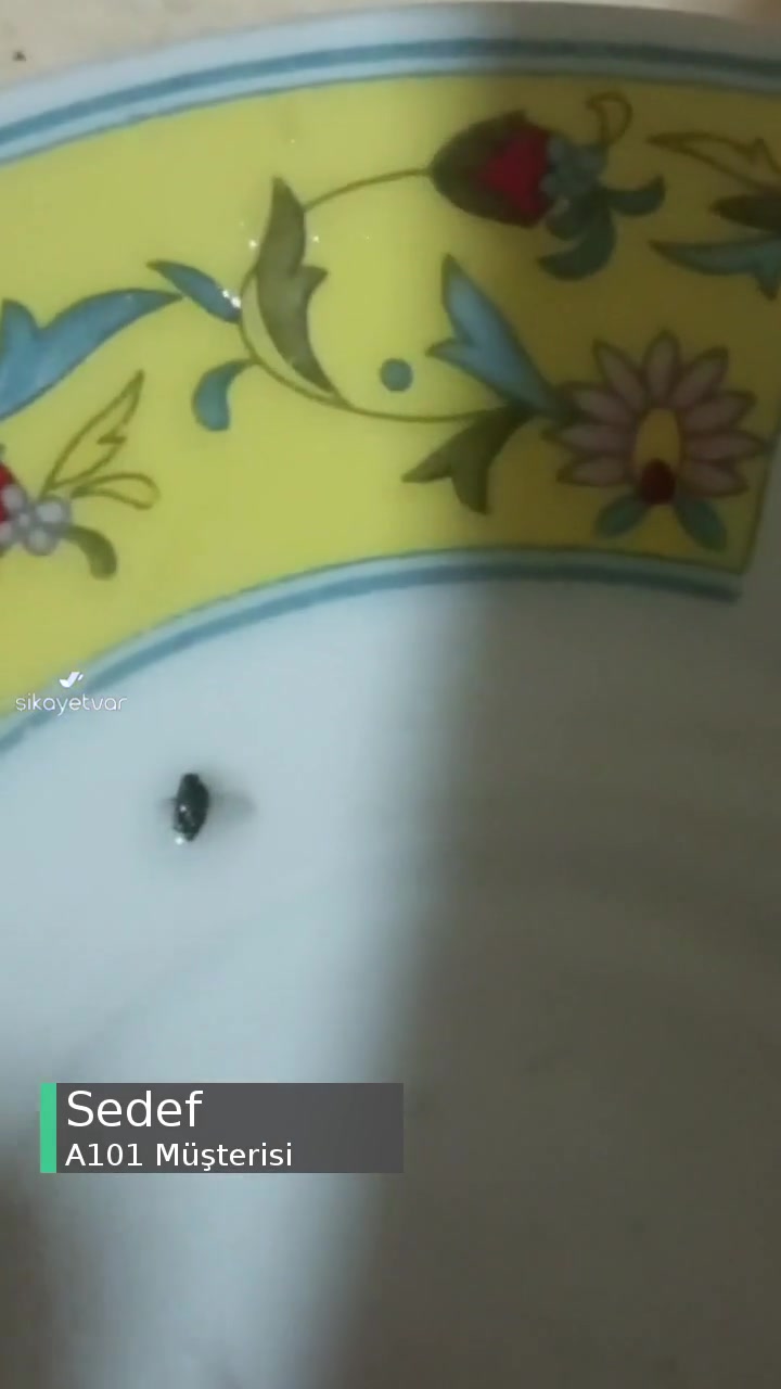 A101 Noodle'den Kurt Çıktı! videonun kapak resmi