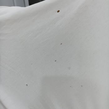 Kurutma Makinesi Sürekli Arızalanıyor, Çözüm Sunulmuyor
