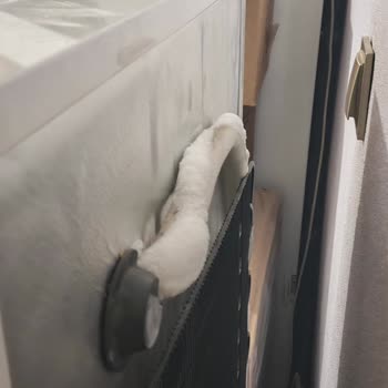 Regal Derin Dondurucuda Sürekli Karlanma Ve Servis Desteği Sorunu