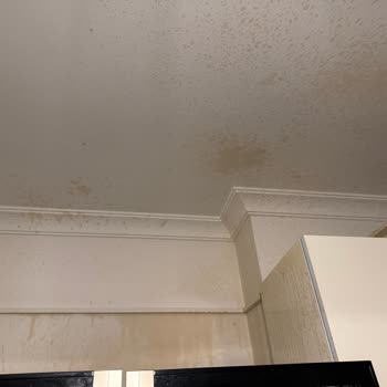 Caldini Kimya Söndürme Tüpü Mutfakta Hiçbir Müdahale Olmadan Kendiliğinden Patladı