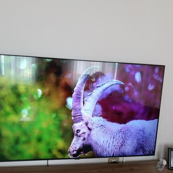 Samsung TV'de Garanti Sonrası Tekrarlayan Panel Arızası Ve Yüksek Onarım Ücretleri