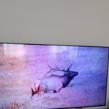 Samsung TV'de Garanti Sonrası Tekrarlayan Panel Arızası Ve Yüksek Onarım Ücretleri