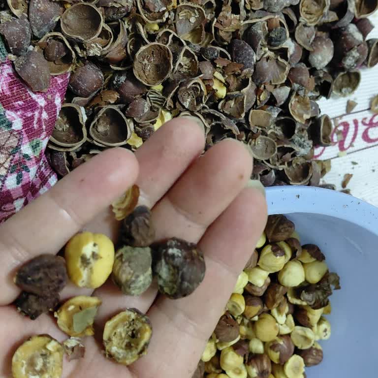 Aldığım Fındıkların Tamamı Bozuk Ve Kötü Kokulu Çıktı