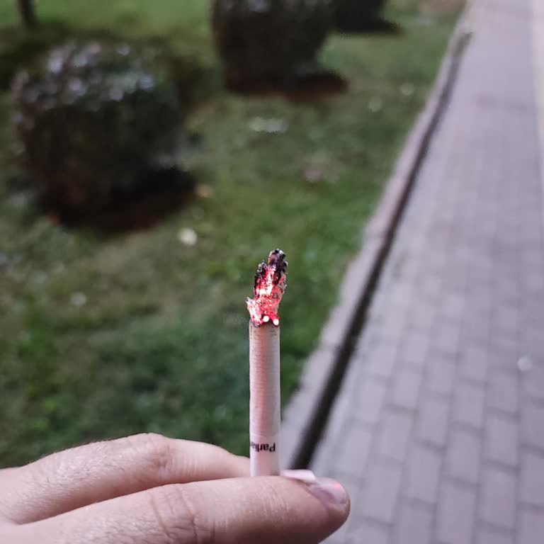 Parliament Night Blue Paketlerinde Sürekli Dal Sorunu Ve Kalite Endişesi