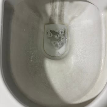 Aynı Model Klozetlerde Tekrarlayan Siyahlaşma Sorunu Çözülmüyor