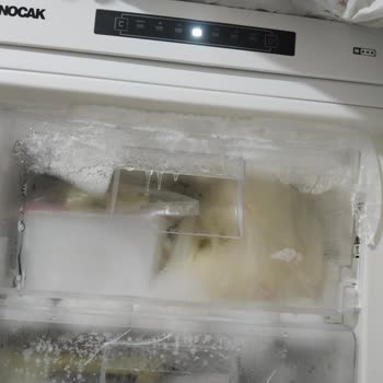 Aylarca Çözülemeyen Derin Dondurucu Kapağı Mağduriyeti