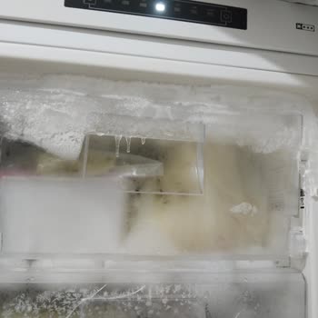 Aylarca Çözülemeyen Derin Dondurucu Kapağı Mağduriyeti