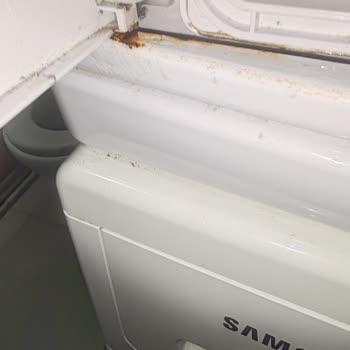 Vestel Kurutma Makinesinde Sürekli Paslanma Sorunu Ve Destek Talebi