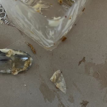 Aldığım Pastadan Plastik Ve Cam Parçası Çıktı Güvenliğim Tehlikede