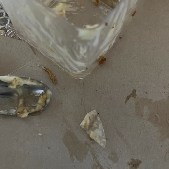 Aldığım Pastadan Plastik Ve Cam Parçası Çıktı Güvenliğim Tehlikede