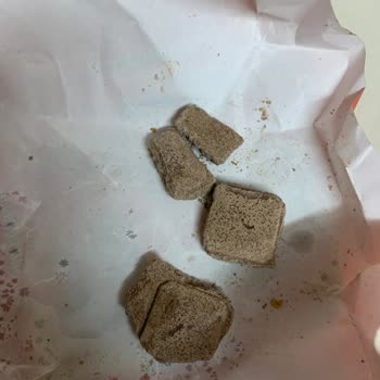 Bozuk Çikolata Nedeniyle Çocuklarımız Hastanelik Oldu, Markadan Dönüş Alamadık