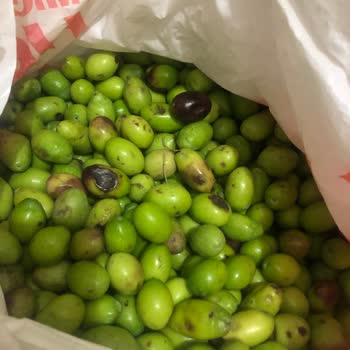 Migros Sanal Marketten Çürük Zeytin Teslimatı Ve Ücret İadesi Sorunu