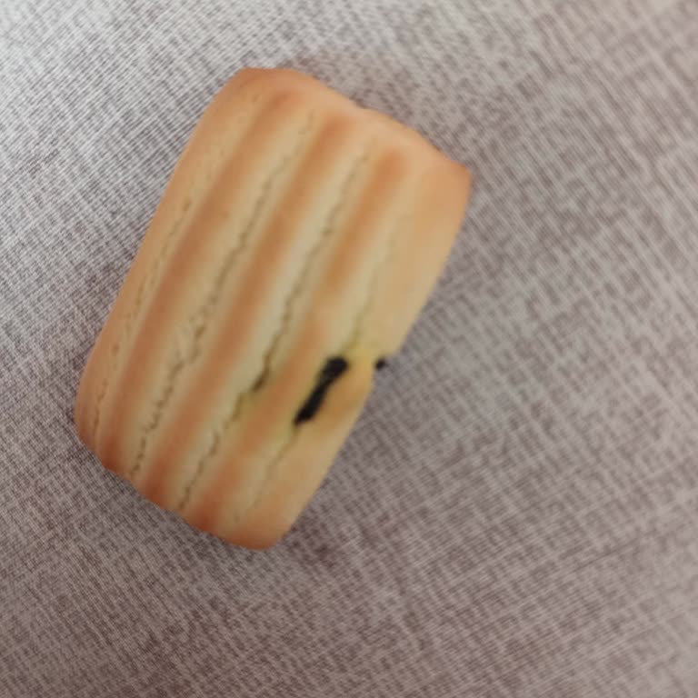 Bebeğime Yedirdiğim Bisküvide Siyah Cisim Buldum Güvenim Sarsıldı