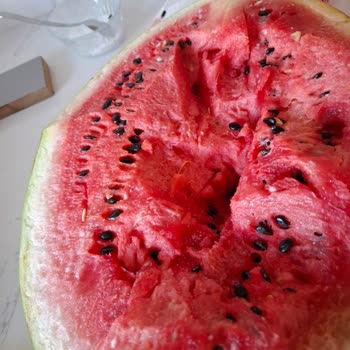 Profilo Buzdolabında Sürekli Bozulma Ve Yetersiz Servis Desteği Nedeniyle Para İadesi Talebi
