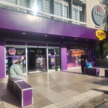 Küçük Köpeğimle Mağazadan Çıkarılmam Ve Hayvan Dostu Yaklaşım Eksikliği