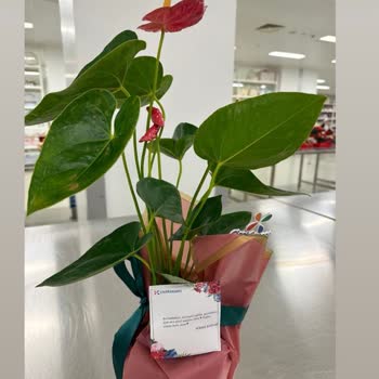 Onaylamadığım Ürün Teslim Edildi, Ücret İadesi Talep Ediyorum