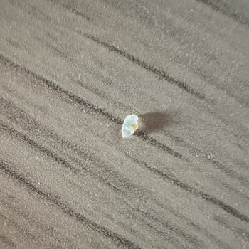 Nestle Nesfit Ballı Bademli Yulaflı Üründe Diş Kıracak Kadar Sert Parçalar