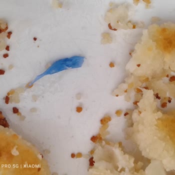 Dondurulmuş Soğan Halkasından Poşet Çıkması Şok Etti!