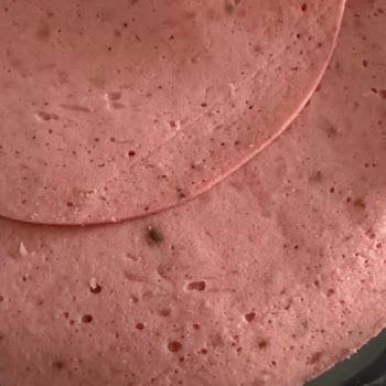 Son Kullanma Tarihi Geçmemiş Hindi Salamda Bozulma Ve Kötü Koku Problemi