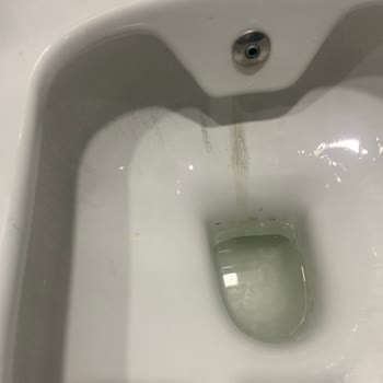 Kale Leke Tutmaz Denilen Klozetin Taşında Kalıcı Siyah Lekeler Oluşuyor