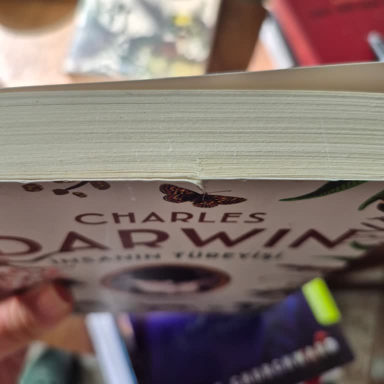 Yırtık Kitap Ve Sürekli Özensiz Paketleme Mağduriyeti