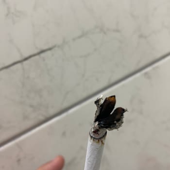 Winston Slender Q Line Cigarettes Contain Foreign Materials Like Wood